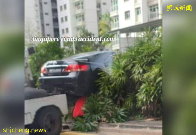 新加坡一辆车飞入灌木丛?网友：动作片看多了