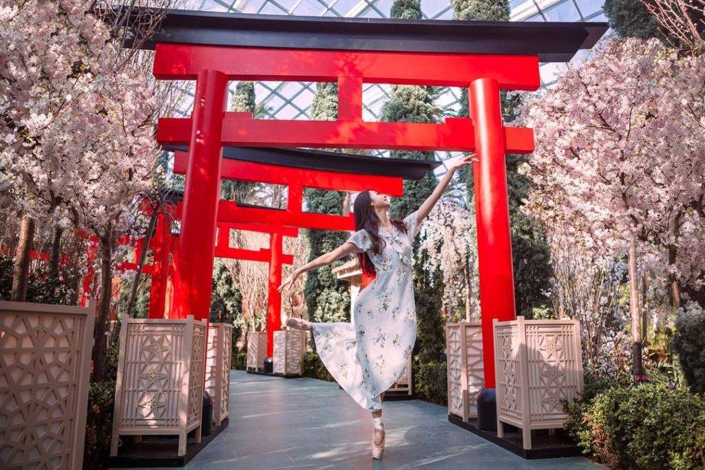 Hello Kitty首降樱花展🌸 滨海湾樱花展增添可爱元素,日本萌宝到场助阵!不能去日本就去滨海湾😎