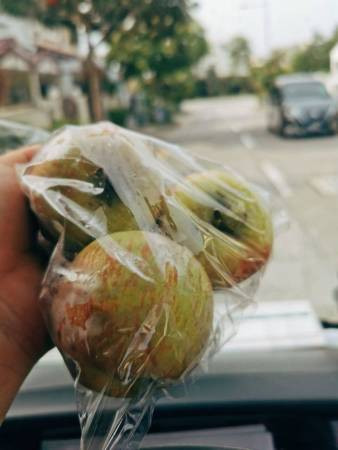 “你們辛苦了！” 馬賽地姐送3粒蘋果 叮咛馬勞照顧身體