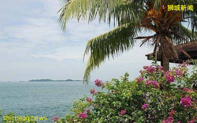 什麽是新加坡？盤點那些你不知道的新加坡知識!