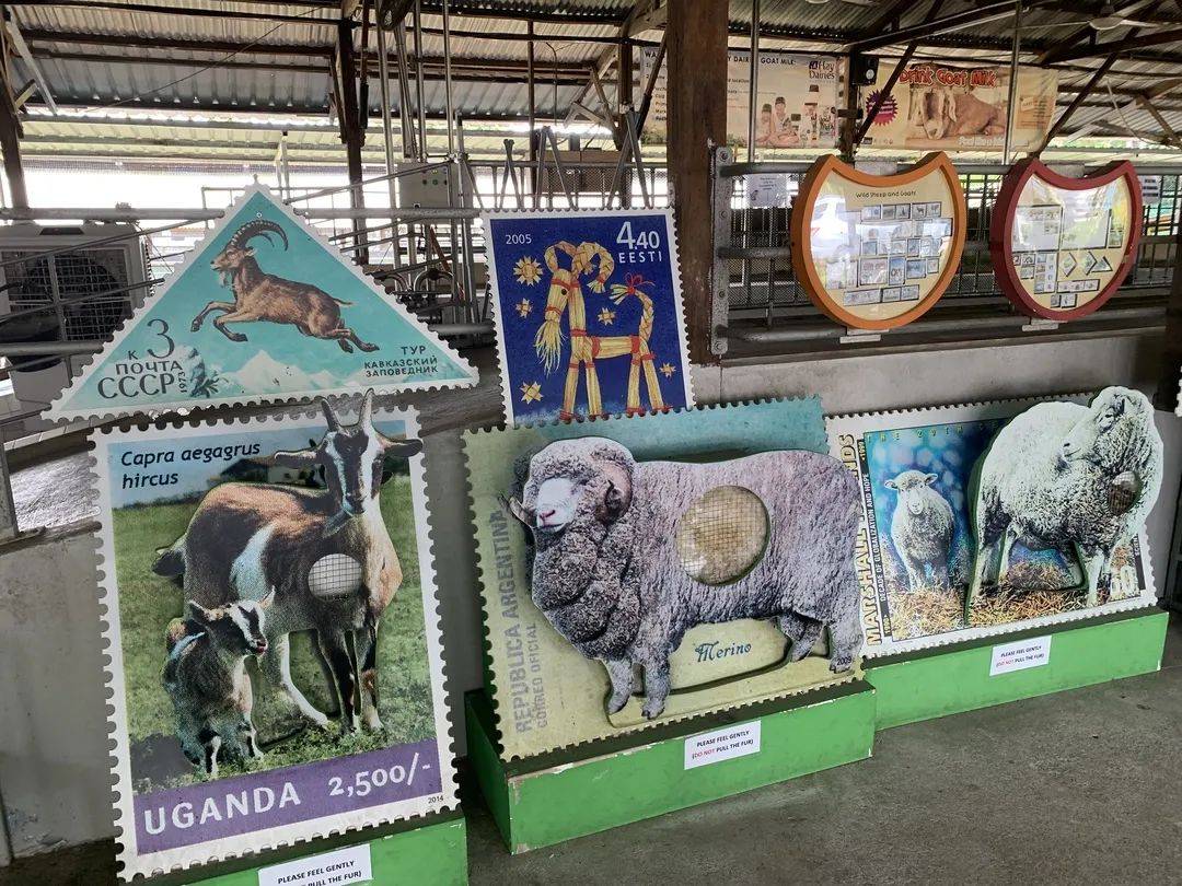 往返克兰芝地铁和多个农场的快捷巴士停止运营,郊外农场本地游推荐给你