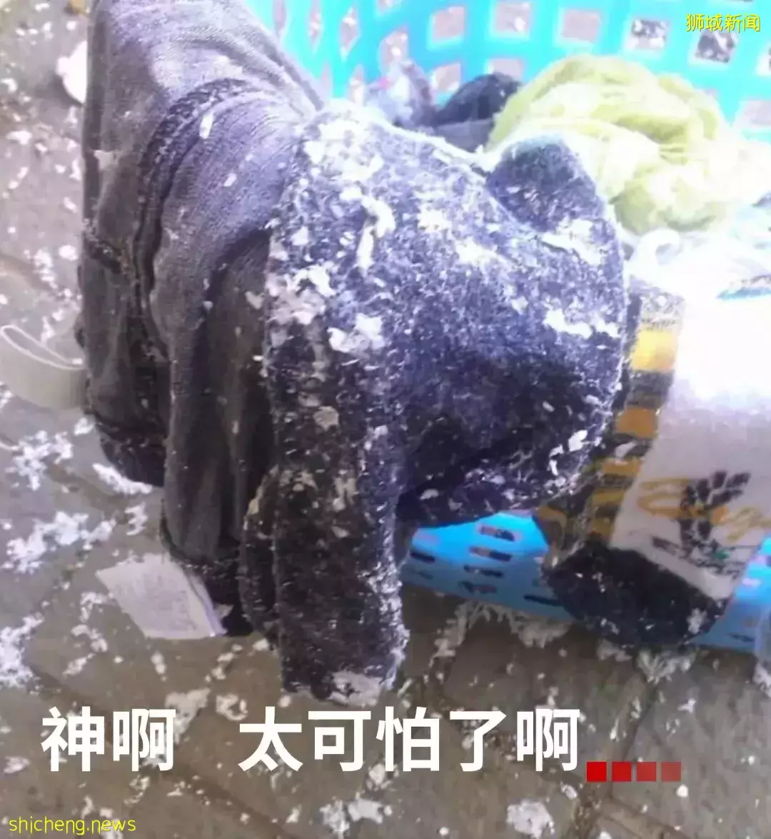 “逛遍新加坡大大小小的超市和市场，我总结了这份最全购买攻略~”