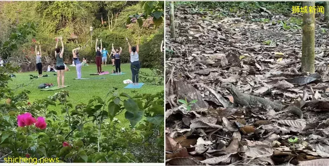 李顯龍總理發文: 下周大解封後，生活基本恢複到疫情前！新加坡病例會大反彈麽