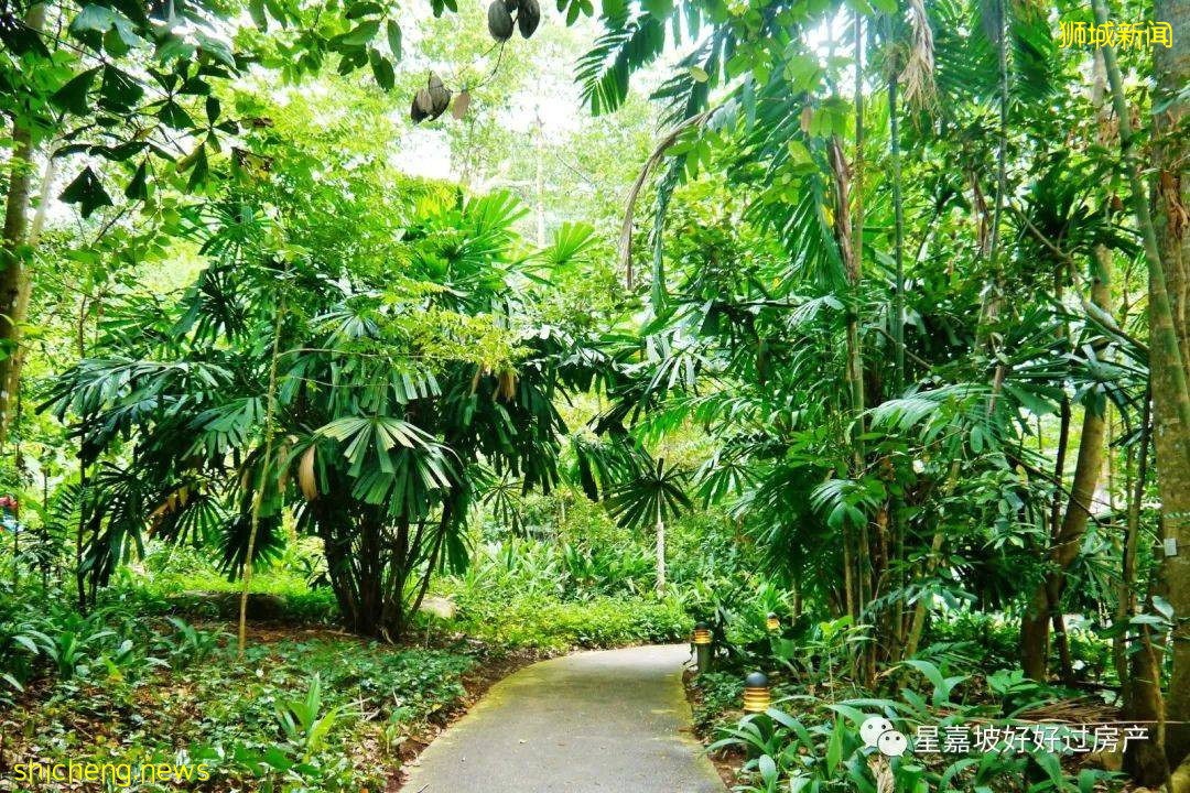 李嘉诚设计的房子,你想住吗