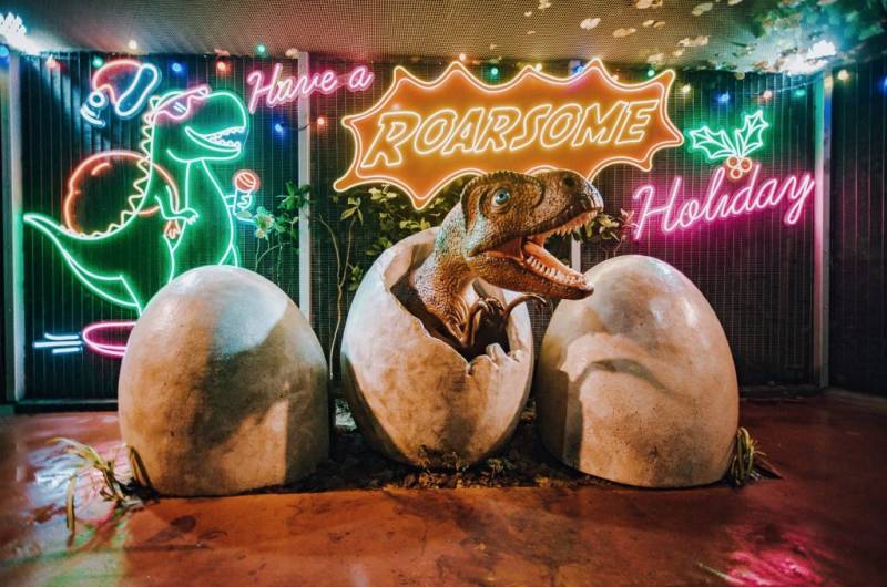 樟宜侏罗纪步道节日特备🎄入场免费!酷炫版恐龙灯饰装置,闪亮隧道、圣诞霓虹灯✨