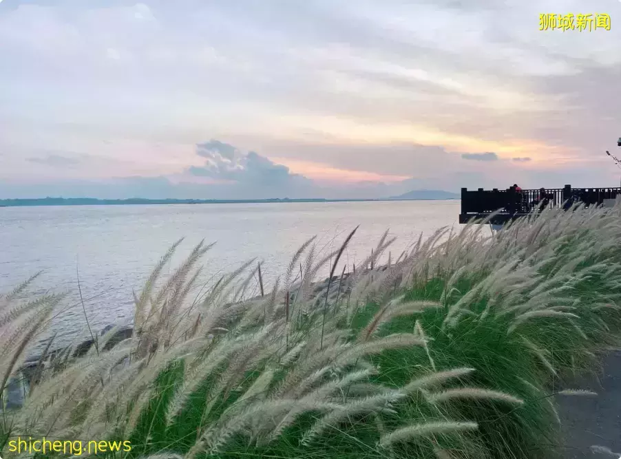 新开的樟宜湾PCN看起来就像韩国济州岛