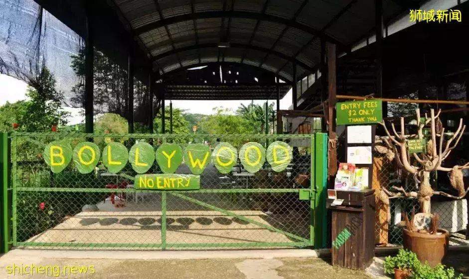 《即刻隨心所想，心想獅城》新加坡生態遊系列2