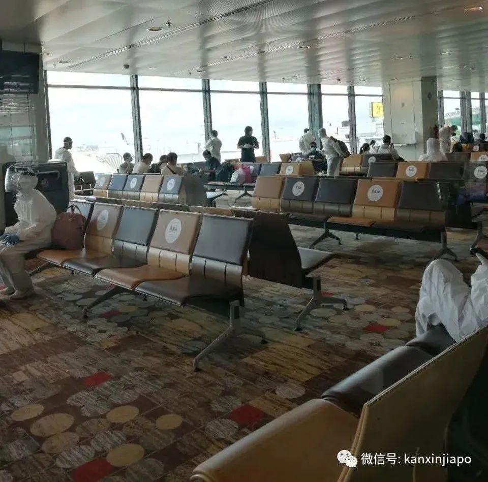 新加坡今增XXXX | 航班有乘客确诊,两老从新加坡回四川亲历隔离