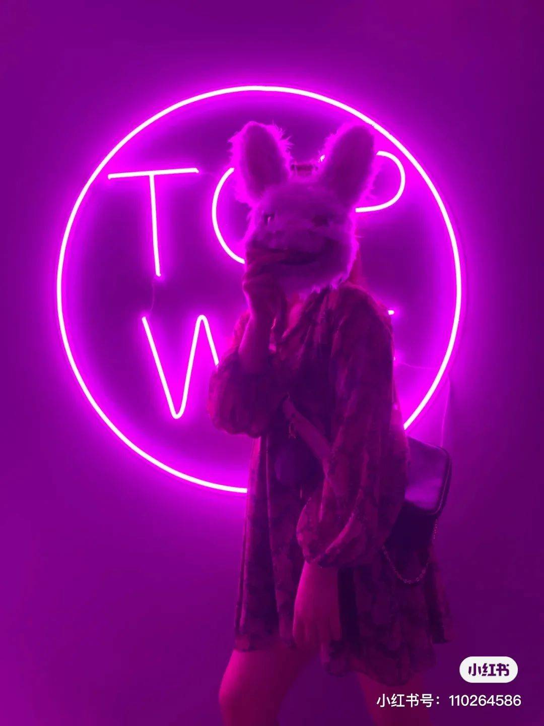 盘点 新加坡惊险刺激的剧本杀合集