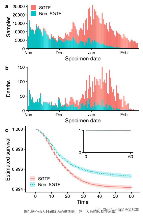 警惕！這個突變株致死率高了55%！新加坡已出現至少25例病例