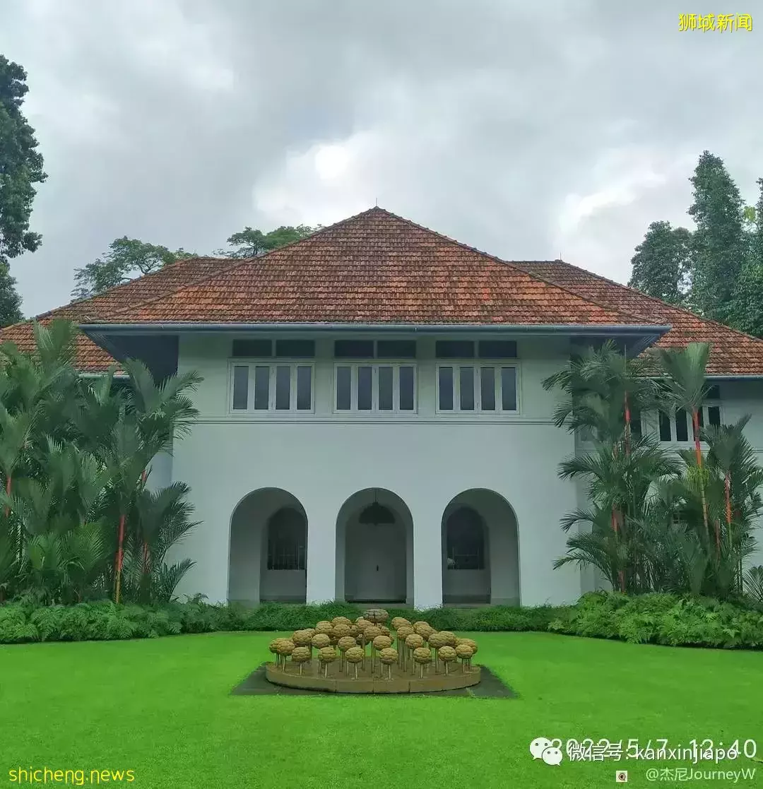 “游览总统府巧遇新加坡总统！她竟然还和我合照”