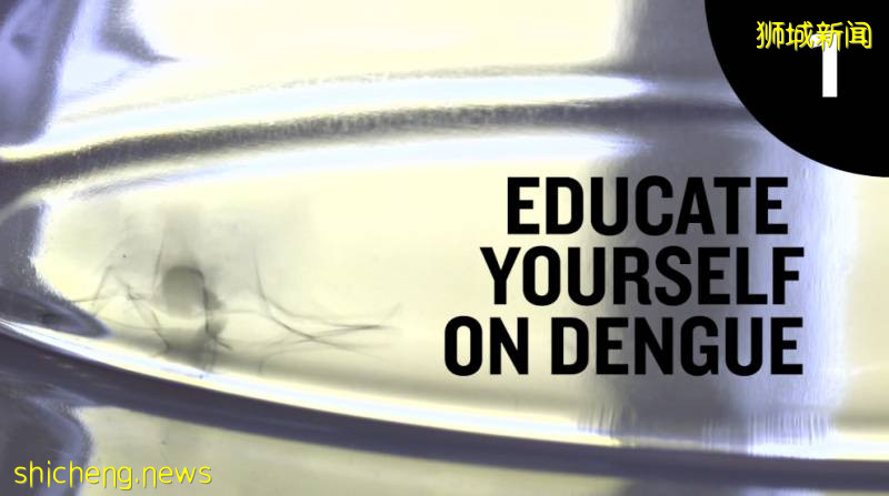 新加坡PSB学院学生事务处：预防登革热有妙招