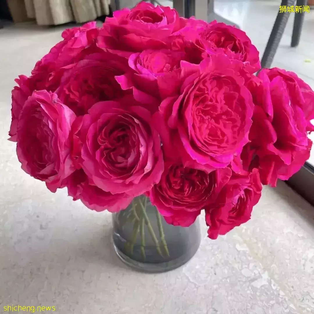 鮮花在熱帶也能養1個月？資深花友新加坡買花、養護大揭秘