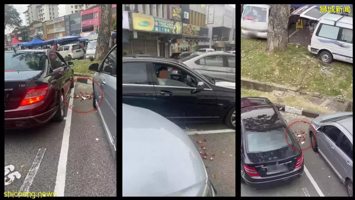 吃完果皮扔車外 獅城注冊車主被噴“沒水准”