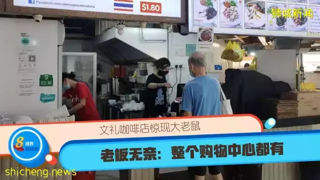 文禮咖啡店驚現大老鼠 老板無奈:整個購物中心都有