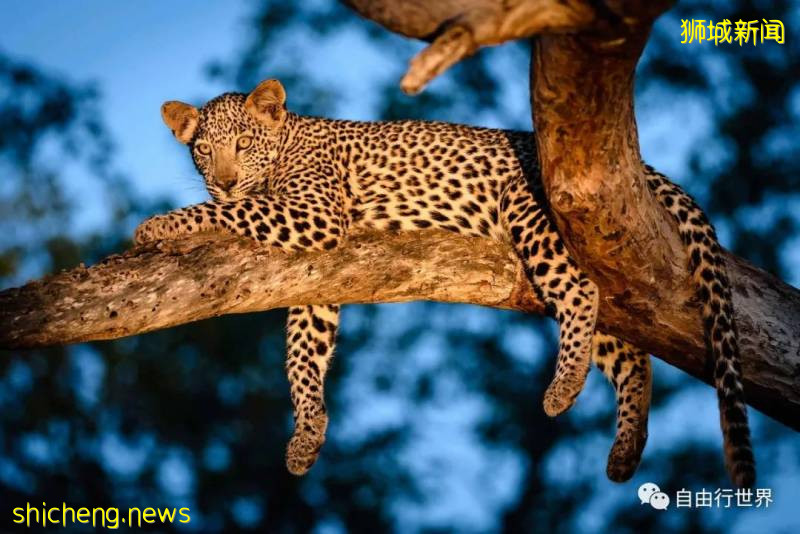 疫情過後,去新加坡不可錯過的16個體驗!