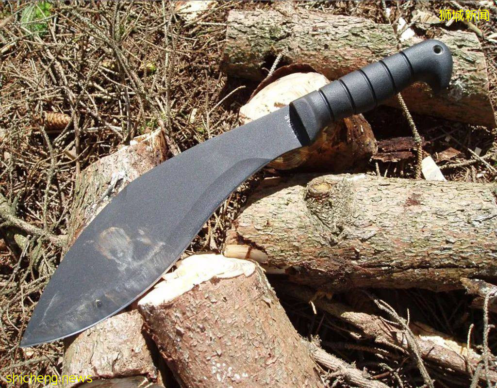 这个新加坡人经历了911恐怖袭击后，幸存！李显龙总理讲话