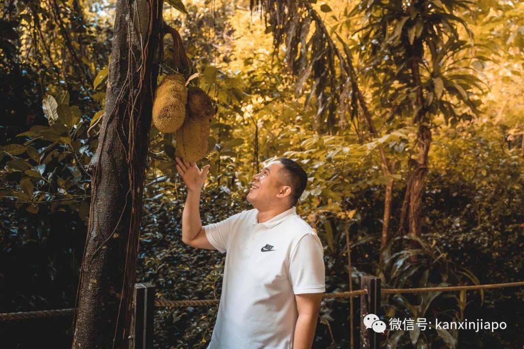 有茅房、有砖门!新加坡保留最完整的中国村藏这里