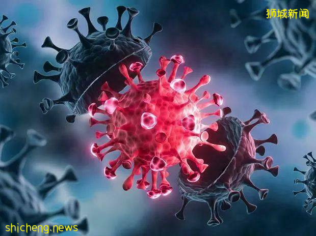 有人打完科興嫌抗體低,去補打輝瑞?官方回複來了