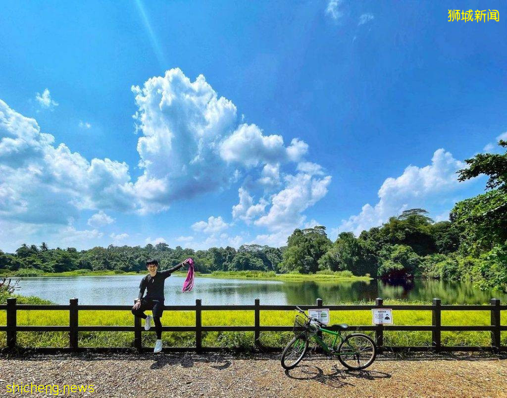 免費不用錢😍新加坡礦湖打卡✨風景如畫、美如仙境，到戶外走一圈後神清氣爽