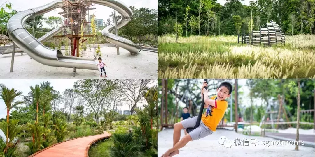 刷屏！新加坡一年一度開學大戲上演！好多家長和孩子淩晨4點就醒了