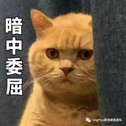 就離譜!都2021了,新加坡怎麽還會有這麽狗血的"婚鬧"