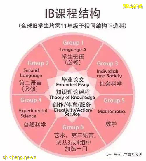 新加坡这两所超人气国际学校,为何独受明星、高管家长青睐