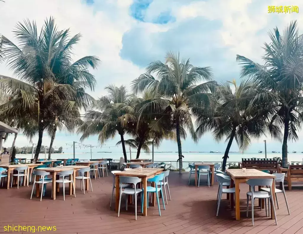 超美水边安静Cafe大盘点!美食美景我全都要