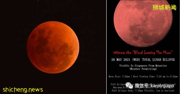 “月全食+超级血月” 奇观再现新加坡!肉眼就能目睹