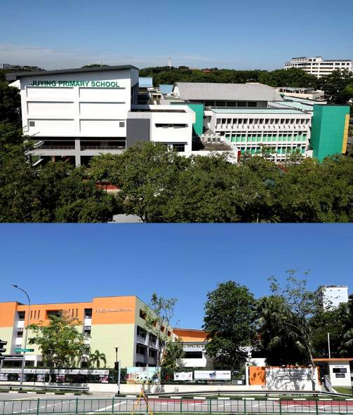 新加坡政府學校數量減少，國際學生入學難上加難