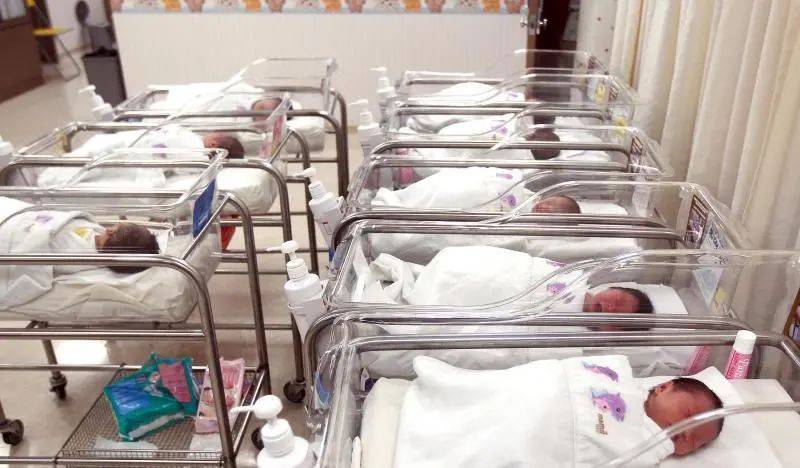 在新加坡要二胎，你，想好了嗎