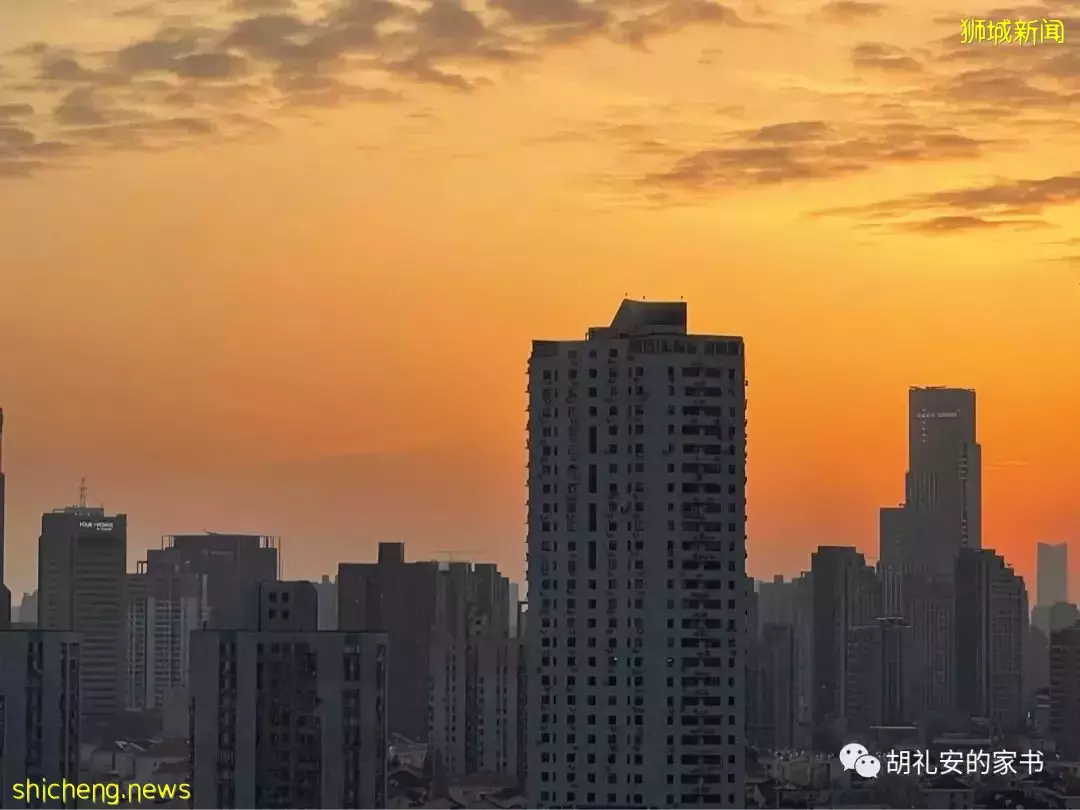 “从新加坡回到上海,封锁一再延长,我被卷入了这场前所未有的大事件”