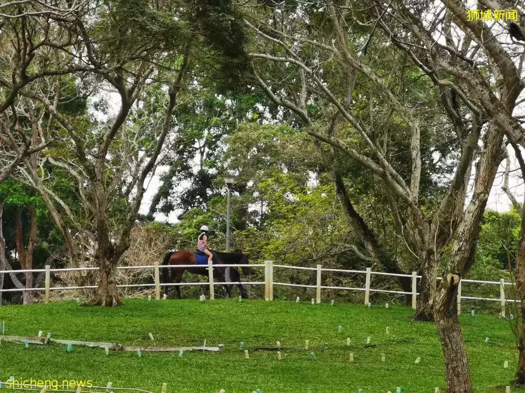 放假啦!新加坡六月假期有什么好活动