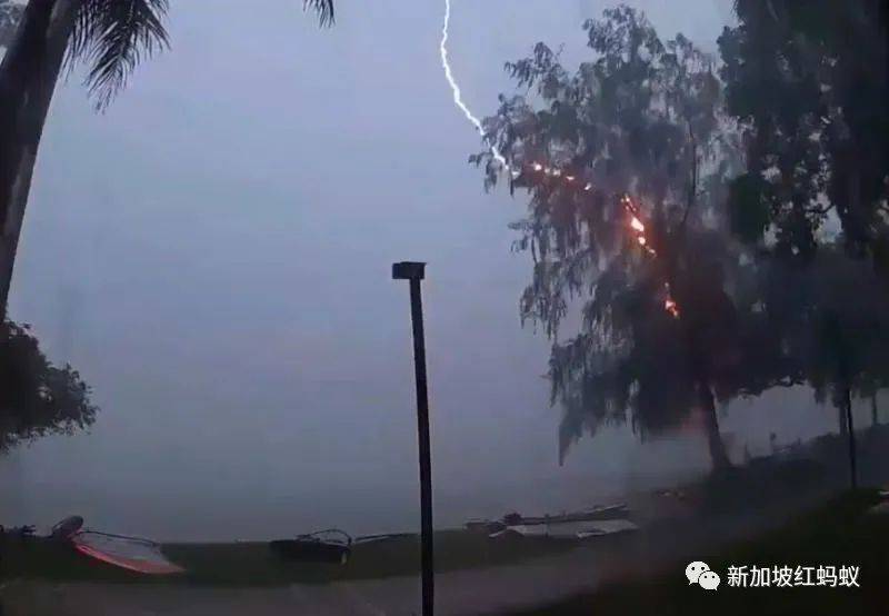 意外防不胜防? 　在狮城各种潜在危险面前，靠人不如靠自己