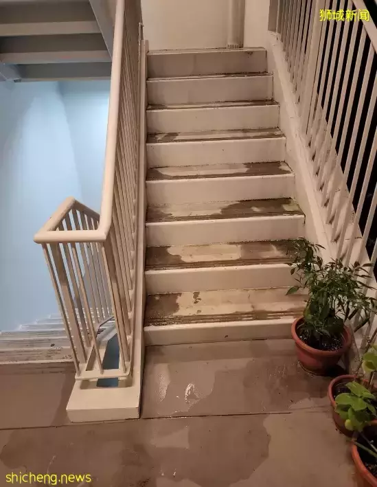 组屋楼梯到底可不可以种植花盆? 义顺居民抱怨楼梯湿湿 