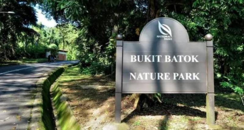 新加坡最美徒步路线盘点,一起来拥抱假期吧