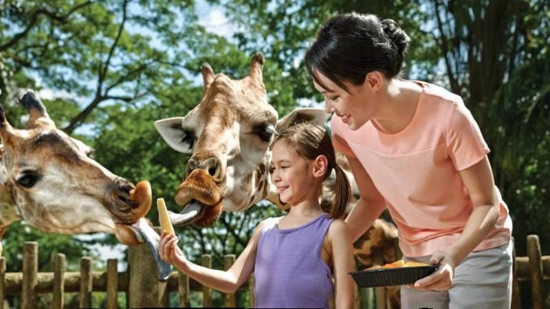 本周折扣！耐克6折，圣淘沙缆车3新币，电商开启双十大促