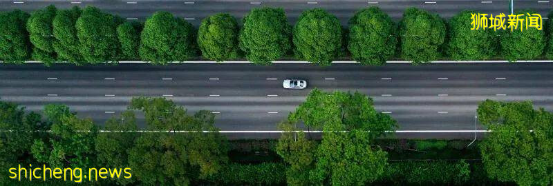 56天病毒阻斷期已過去，這樣空寂的新加坡，你可曾見過嗎!