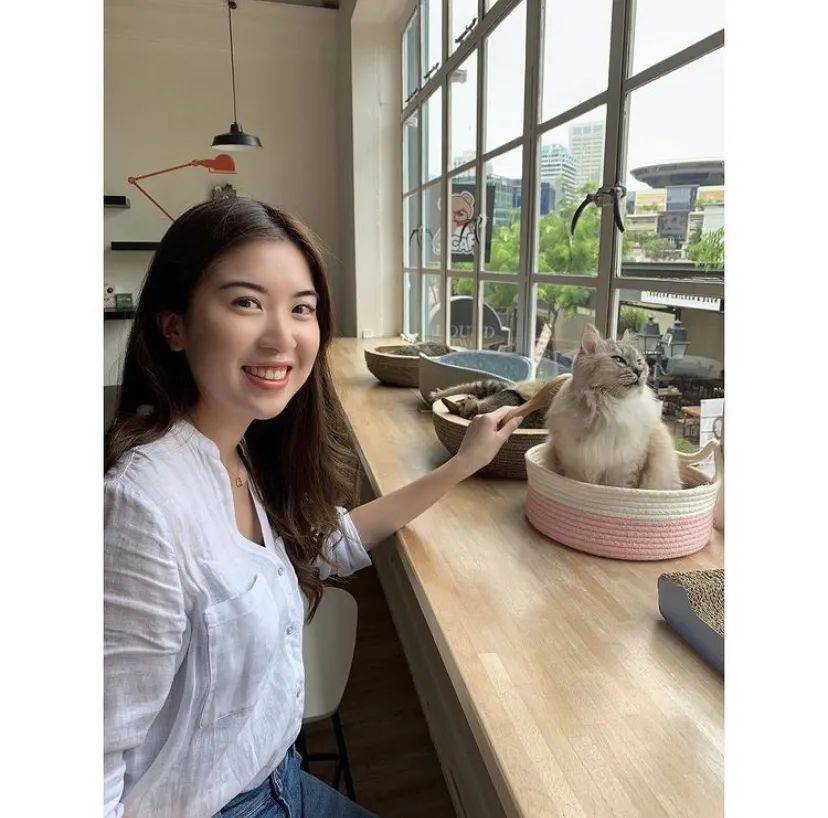 治愈系的它看一眼就愛不釋手！新加坡撸貓撸狗地圖來咯