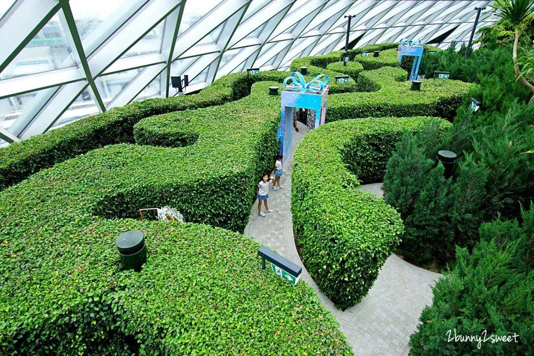 【周末去哪】動物園門票免費送！3晚$99超低價郵輪，自助餐買1送1，聖淘沙兒童免費玩