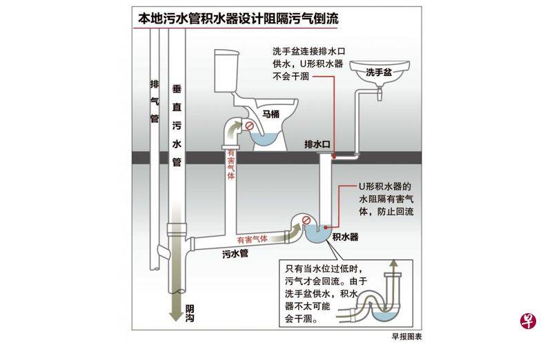 新加坡厕所设计可阻隔污气污水 病毒通过污水管传播概率极低