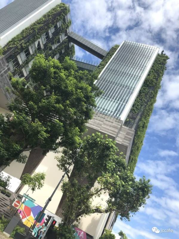 新加坡，疫情前的最后一站