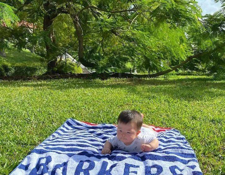 新加坡亲子野餐全攻略,18个宝藏公园帮你找全啦