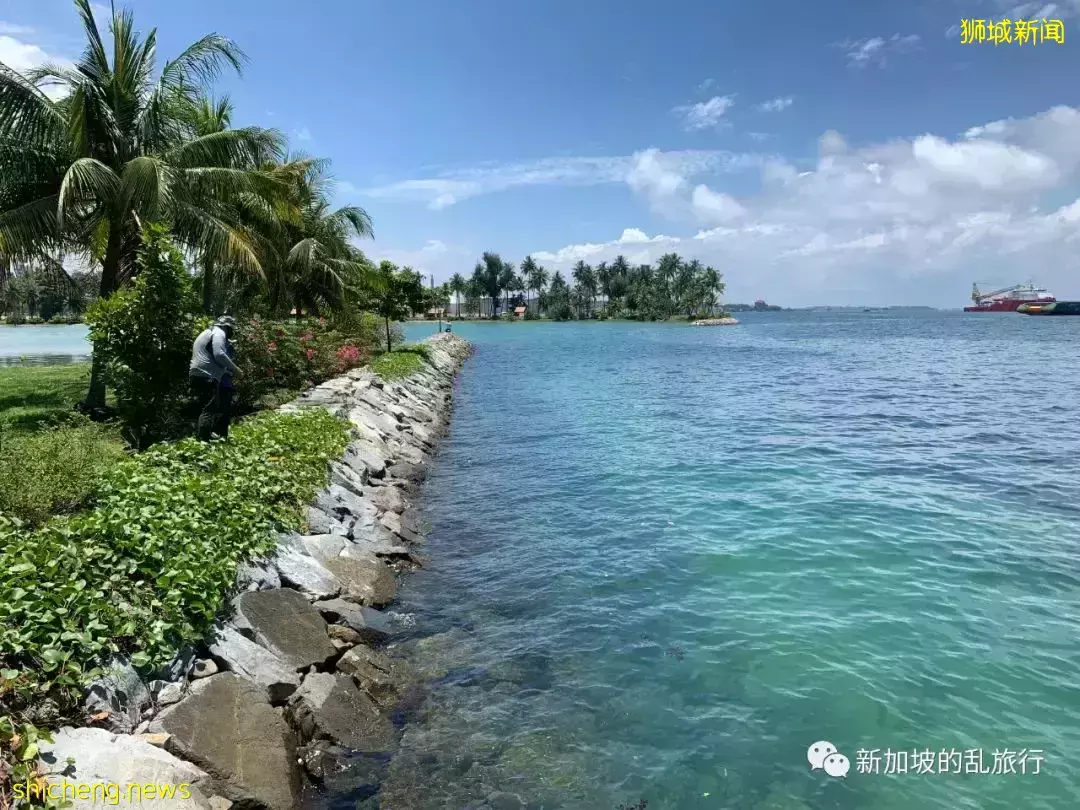 这可能是新加坡人都没听说过的小岛