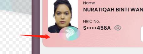 新加坡数码身份证来了!11月1日起只需带手机出门~必须下载这个APP