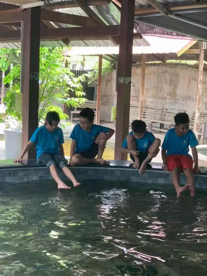 遛娃好去处!捞鱼、鱼疗Spa、参观科普、购买观赏鱼,一站式体验@仟湖渔场