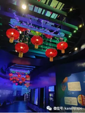 新加坡春节不出门，到这儿就是“出国”啦