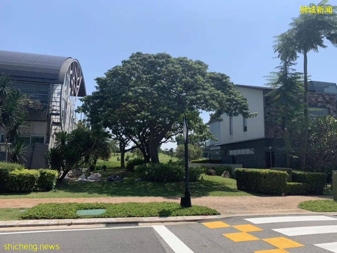 圣淘沙有4套房,还要占用公区!新加坡富豪的邻居不好做