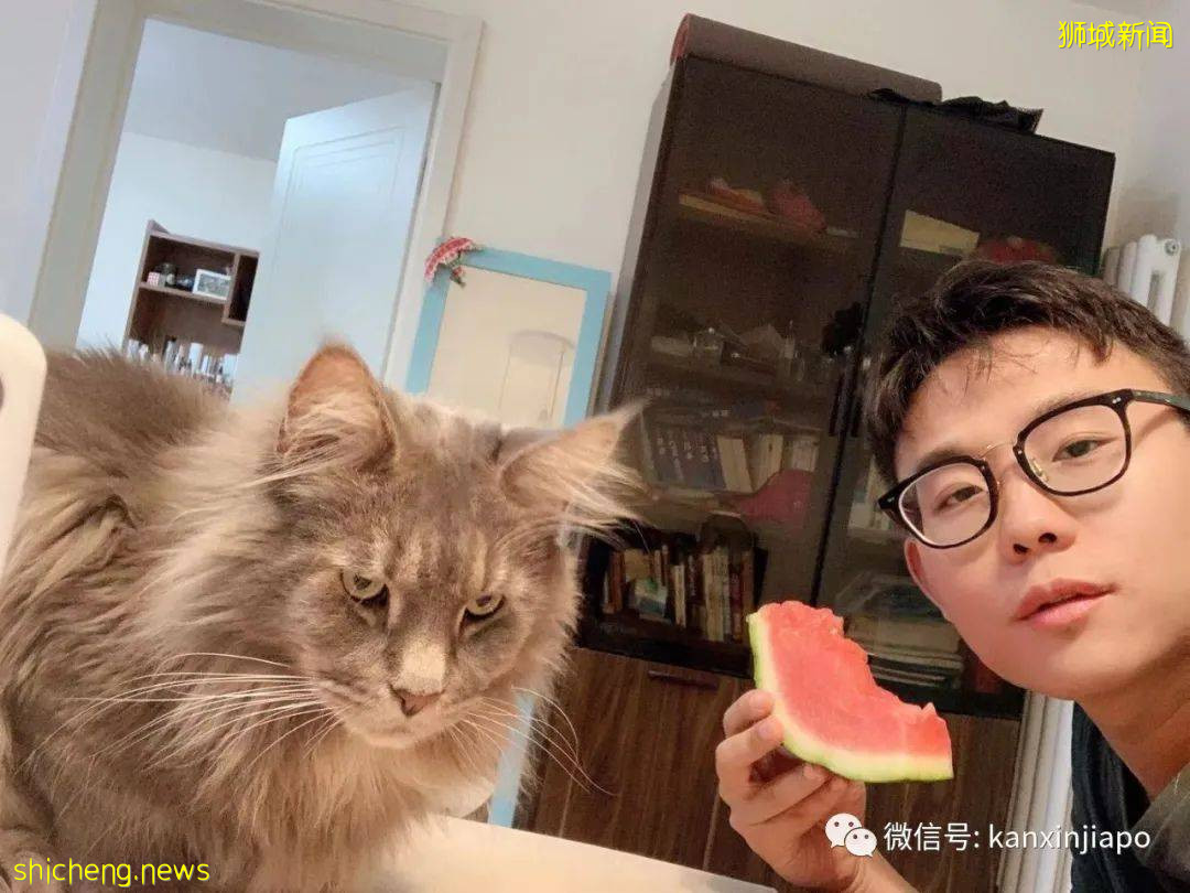 初来乍到遇上疫情,在新加坡当程序员是怎样的感觉