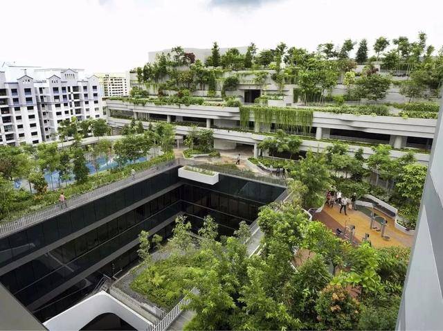 案例实践 新加坡代际融合的养老社区综合体——海军部村落 